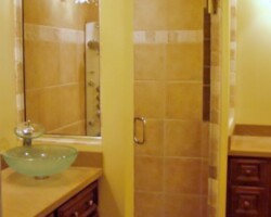 3/16” clear tempered glass with chrome channel on all sides (door is frameless with bore thru c pull handle)